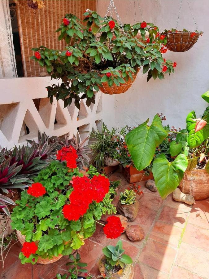 ホテル Mi Ranchito, Centro バリチャラ エクステリア 写真